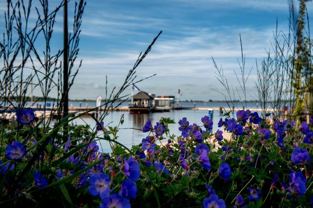 Welcome In - Houseboat 'Elysium' Met Eigen Aanlegsteiger Sneek - Offingawier Экстерьер фото